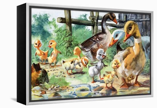 The Ugly Duckling-null-Framed Premier Image Canvas