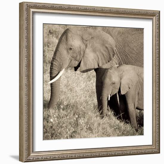 The Ultimate Bonding-Susann Parker-Framed Photographic Print