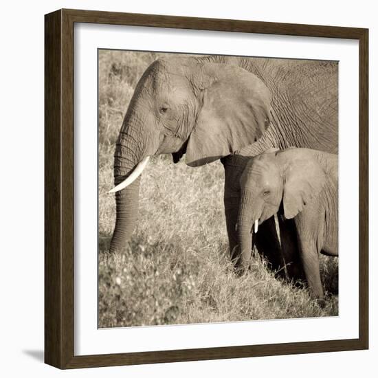 The Ultimate Bonding-Susann Parker-Framed Photographic Print