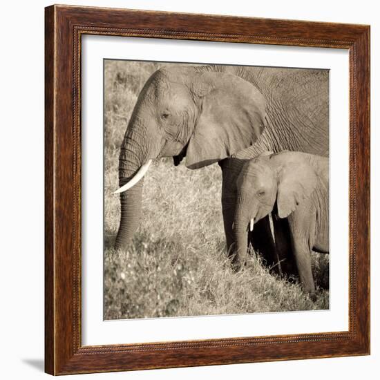 The Ultimate Bonding-Susann Parker-Framed Photographic Print