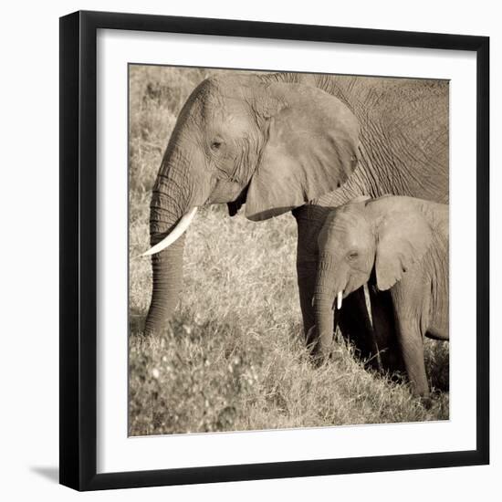 The Ultimate Bonding-Susann Parker-Framed Photographic Print