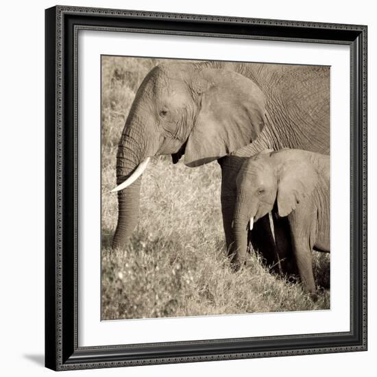 The Ultimate Bonding-Susann Parker-Framed Photographic Print