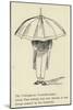 The Umbrageous Umbrella-Maker-Edward Lear-Mounted Giclee Print