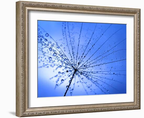 The Umbrella-Ursula Abresch-Framed Photographic Print