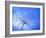 The Umbrella-Ursula Abresch-Framed Photographic Print