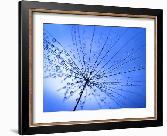 The Umbrella-Ursula Abresch-Framed Photographic Print