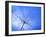 The Umbrella-Ursula Abresch-Framed Photographic Print