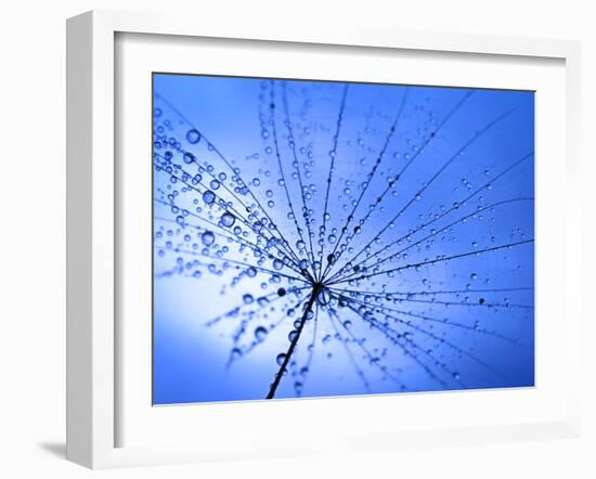 The Umbrella-Ursula Abresch-Framed Photographic Print