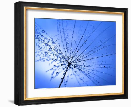 The Umbrella-Ursula Abresch-Framed Photographic Print