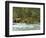 The Umpqua River, Oregon, USA-William Sutton-Framed Photographic Print