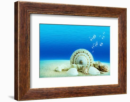 The Underwater World,Seashells with Underwater Background.-Liang Zhang-Framed Photographic Print