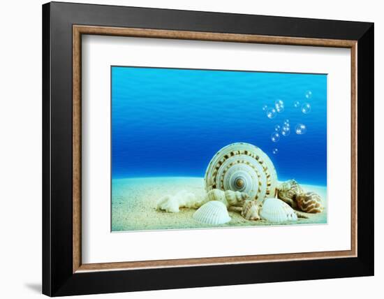 The Underwater World,Seashells with Underwater Background.-Liang Zhang-Framed Photographic Print