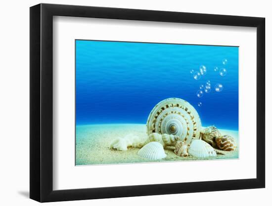 The Underwater World,Seashells with Underwater Background.-Liang Zhang-Framed Photographic Print