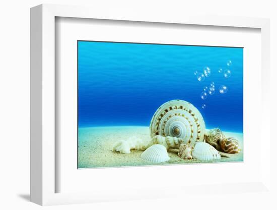 The Underwater World,Seashells with Underwater Background.-Liang Zhang-Framed Photographic Print