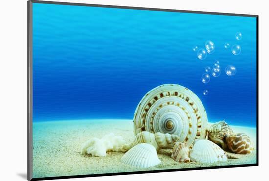 The Underwater World,Seashells with Underwater Background.-Liang Zhang-Mounted Photographic Print