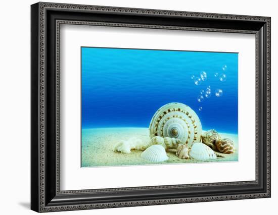 The Underwater World,Seashells with Underwater Background.-Liang Zhang-Framed Photographic Print