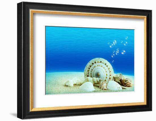 The Underwater World,Seashells with Underwater Background.-Liang Zhang-Framed Photographic Print