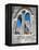 The Unfinished Church in St. George'S, Bermuda, Central America-Michael DeFreitas-Framed Premier Image Canvas