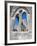 The Unfinished Church in St. George'S, Bermuda, Central America-Michael DeFreitas-Framed Photographic Print