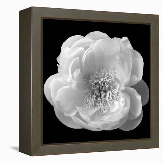 The Unfolding, 2007-Hiroyuki Arakawa-Framed Premier Image Canvas