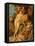 The Union of Earth and Water, C.1618-Peter Paul Rubens-Framed Premier Image Canvas