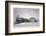 The Union Pacific Railroad Depot at La Grande, Oregon, c.1870-null-Framed Photographic Print