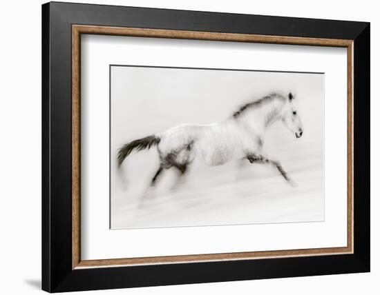 The unique brush stroke-Martine Benezech-Framed Photographic Print