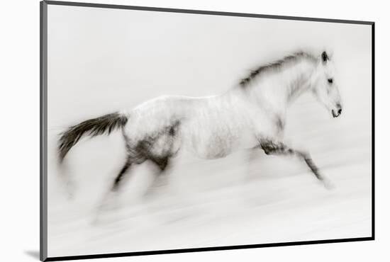 The unique brush stroke-Martine Benezech-Mounted Photographic Print