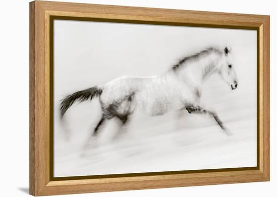 The unique brush stroke-Martine Benezech-Framed Premier Image Canvas