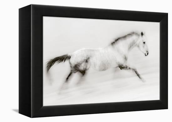 The unique brush stroke-Martine Benezech-Framed Premier Image Canvas