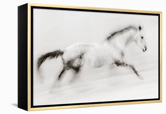 The unique brush stroke-Martine Benezech-Framed Premier Image Canvas