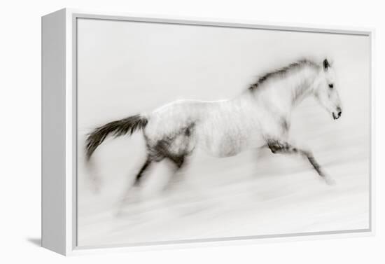 The unique brush stroke-Martine Benezech-Framed Premier Image Canvas