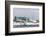 The United States Antarctic Research Base at Palmer Station, Antarctica, Polar Regions-Michael Nolan-Framed Photographic Print