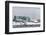 The United States Antarctic Research Base at Palmer Station, Antarctica, Polar Regions-Michael Nolan-Framed Photographic Print