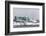 The United States Antarctic Research Base at Palmer Station, Antarctica, Polar Regions-Michael Nolan-Framed Photographic Print