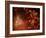 The Universe 2-Ryuji Adachi-Framed Photographic Print