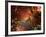 The Universe-Ryuji Adachi-Framed Photographic Print