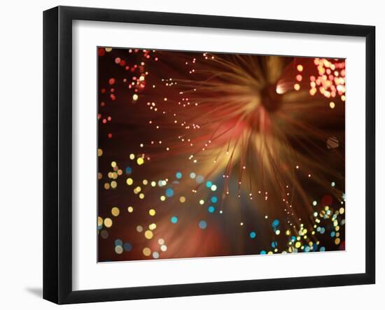 The Universe-Ryuji Adachi-Framed Photographic Print