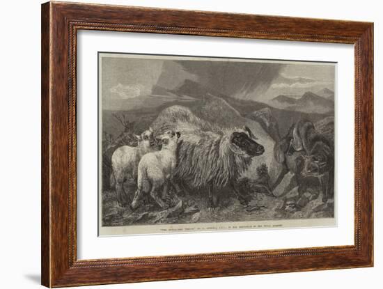 The Unwelcome Visitor-Richard Ansdell-Framed Giclee Print