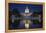 The US Capitol and Reflecting Pool.-Jon Hicks-Framed Premier Image Canvas