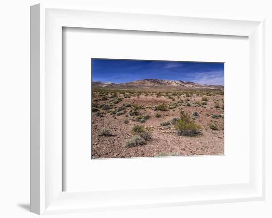 The USA, California, Death Valley National Park, scenery on the Dantes View Road-Udo Siebig-Framed Photographic Print