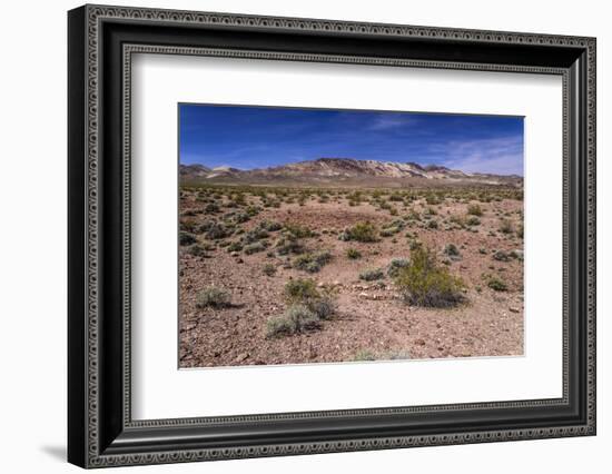 The USA, California, Death Valley National Park, scenery on the Dantes View Road-Udo Siebig-Framed Photographic Print