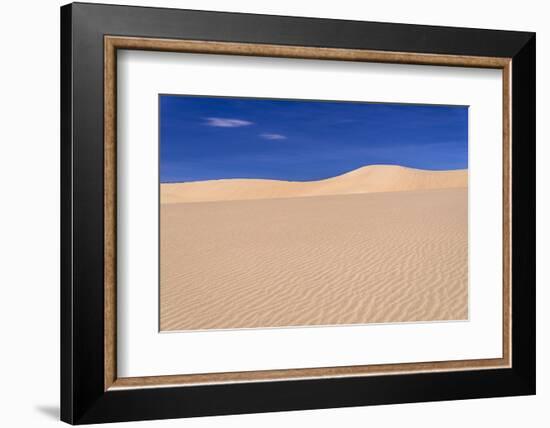 The USA, California, Death Valley National Park, Stovepipe Wells, Mesquite Flat Sand Dunes-Udo Siebig-Framed Photographic Print