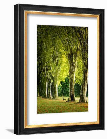 The vacuum bench-Philippe Sainte-Laudy-Framed Photographic Print