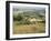 The Vale of Evesham from the Main Ridge of the Malvern Hills, Worcestershire, England-David Hughes-Framed Photographic Print