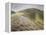 The Vale of the White Horse-Eric Ravilious-Framed Premier Image Canvas