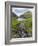 The valley of Saksun. Denmark, Faroe Islands-Martin Zwick-Framed Photographic Print