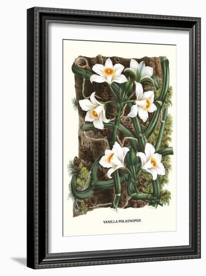 The Vanilla Orchid-Louis Van Houtte-Framed Art Print