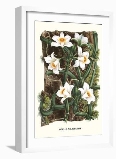The Vanilla Orchid-Louis Van Houtte-Framed Premium Giclee Print