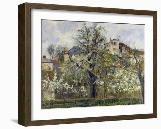 The Vegetable Garden with Trees in Blossom, 1877-Camille Pissarro-Framed Giclee Print